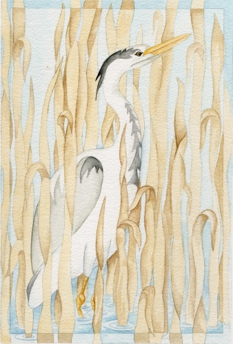 Watercolour Heron