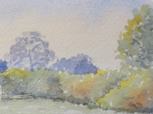 learn Watercolour, watercolour tutorial, hedgerow